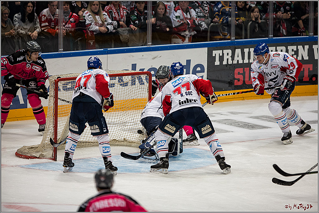 Koelner Haie - Adler Mannheim, 30.10.2016